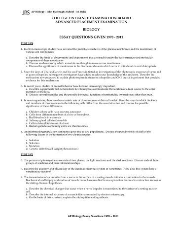 essay generator